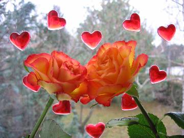 Saint Valentin